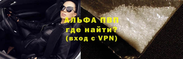 индика Алексин