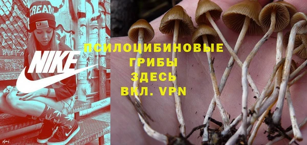 не бодяженный Абдулино