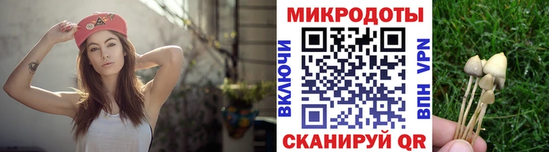 Псилоцибиновые грибы Psilocybe  blacksprut ссылки  Энгельс  купить наркотики сайты 