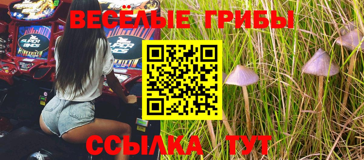 Галлюциногенные грибы прущие грибы Энгельс